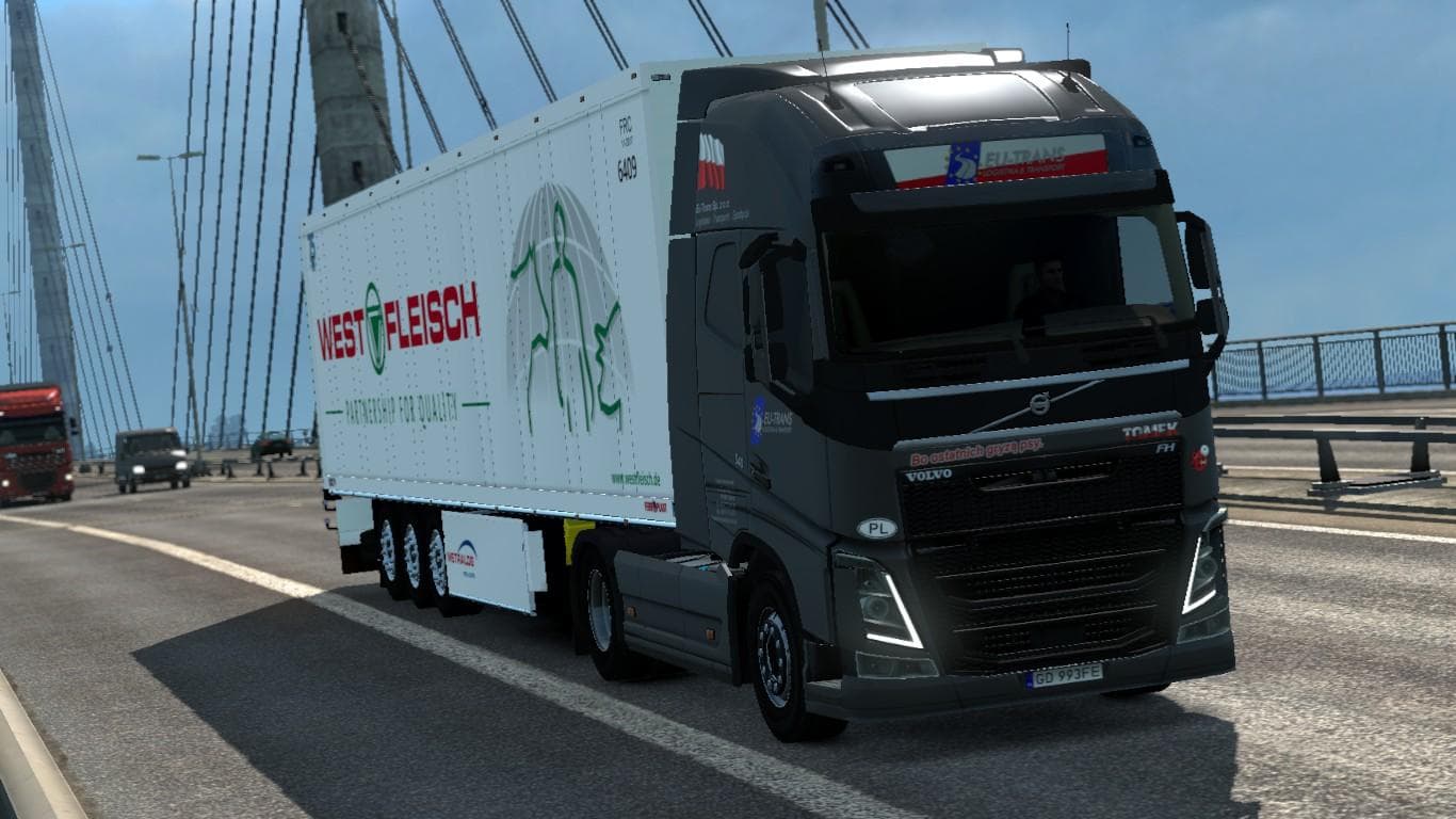 SCHMITZ S.KO BY ROADHUNTER – WESTFLEISCH SKIN BY STEINI - ETS2 mods download – skins screenshot 2