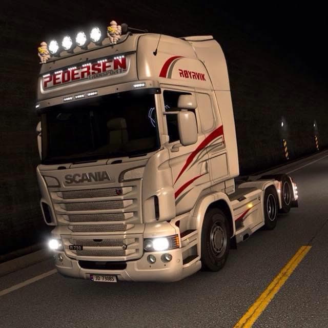 PEDERSENTRANSPORT 1.21.X - ETS2 mods download – skins screenshot 2