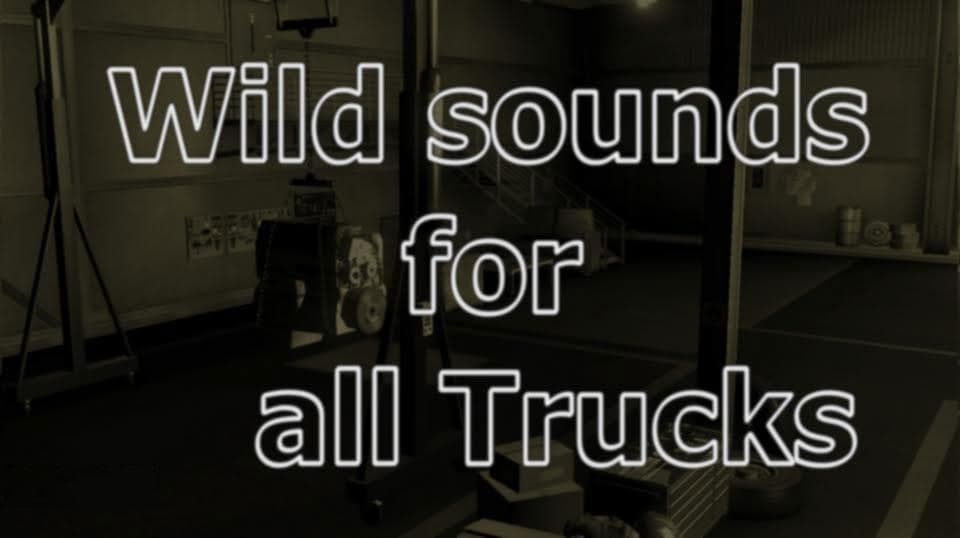 WILD SOUNDS FOR ALL TRUCKS UPDATE V0.91 – Sounds mod for Euro Truck Simulator 2