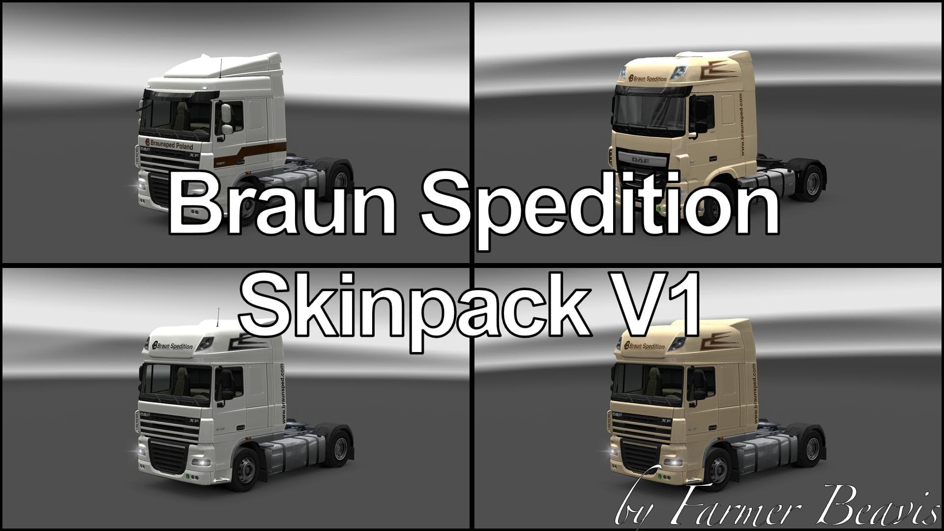DAF XF SKINPACK BRAUN SPEDITION V1.0 – Skins mod for Euro Truck Simulator 2