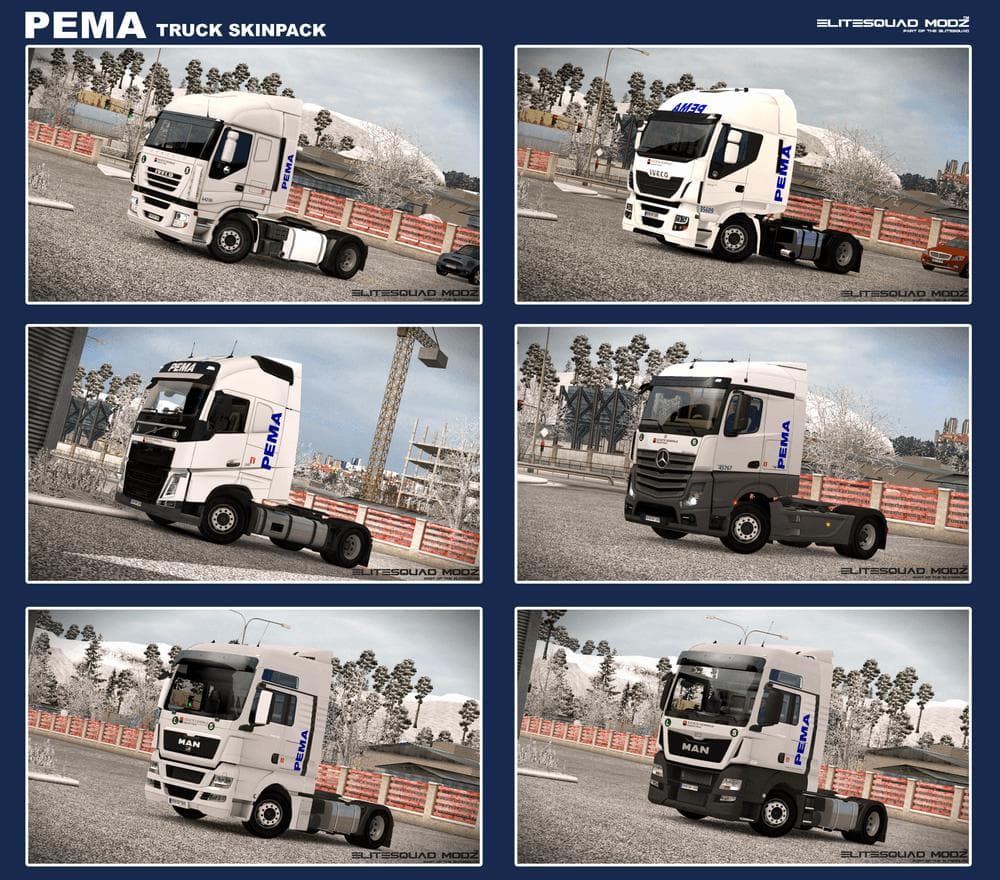 PEMA TRUCKSKINPACK 1.22.X – Skins mod for Euro Truck Simulator 2