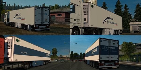 Real Skin Chereau old – Skins mod for Euro Truck Simulator 2