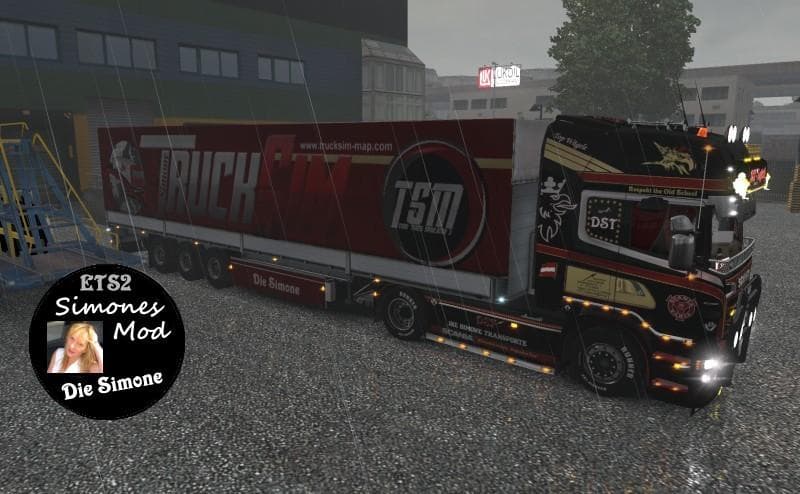 TSM STANDART TRAILER SKIN V1.0 screenshot 2