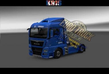 MAN TGX E6 AGRORIT SKIN – Skins mod for Euro Truck Simulator 2